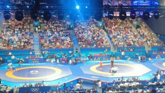 India Withdraws From World Wrestling Championship Amidst WFI-Ministry Conflict