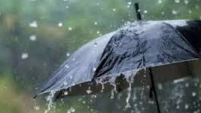 Light To Moderate Rain Likely In Odisha: IMD