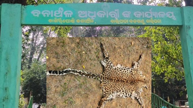 Leopard Skin Seized In Mayurbhanj, 3 Arrested