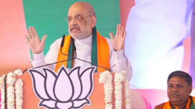 Give All 29 LS Seats To BJP: Amit Shah To MP Voters