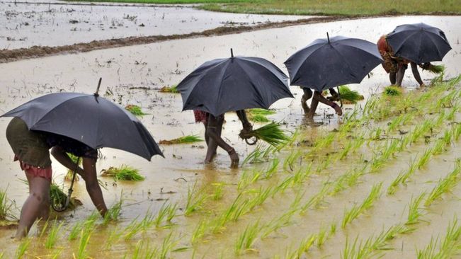 India Likely To Witness Above-Normal Monsoon This Year: IMD