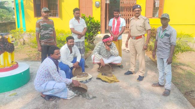 5 Snakes Including Cobras, Russell's Viper And Krait Rescued From Balasore 