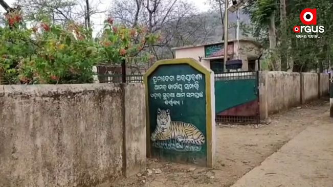 Tiger scare continues in Nuapada village