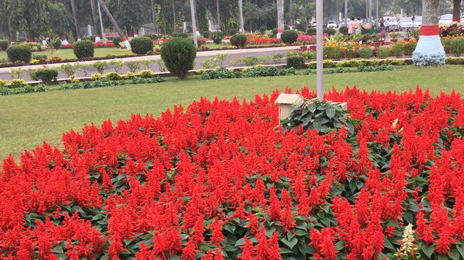 Odisha Lok Seva Bhawan garden opens for public