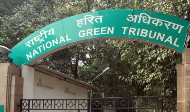 NGT imposes Rs 36cr fine on contractors for illegal sand mining in Odisha