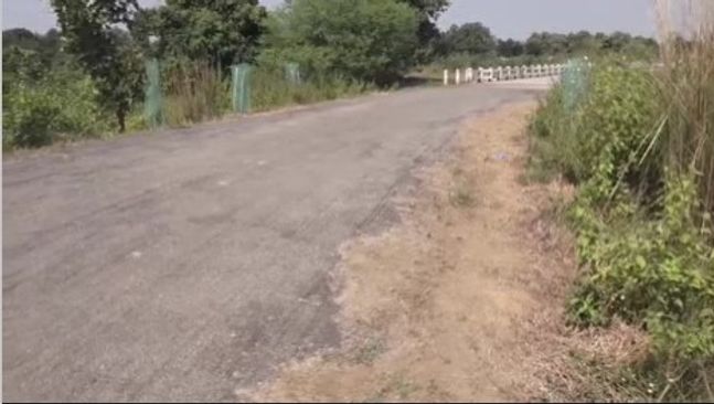 Boudh: Rs 8 lakh spent for roadside plantation but all saplings vanished in few months