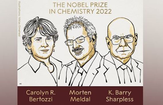 Carolyn Bertozzi, Morten Meldal, Barry Sharpless awarded Nobel Prize in Chemistry
