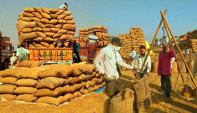 paddy-procurement-starts-from-today