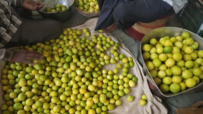 Special puja to bring down prices of lemon