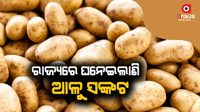 potato price heavy in odisha market