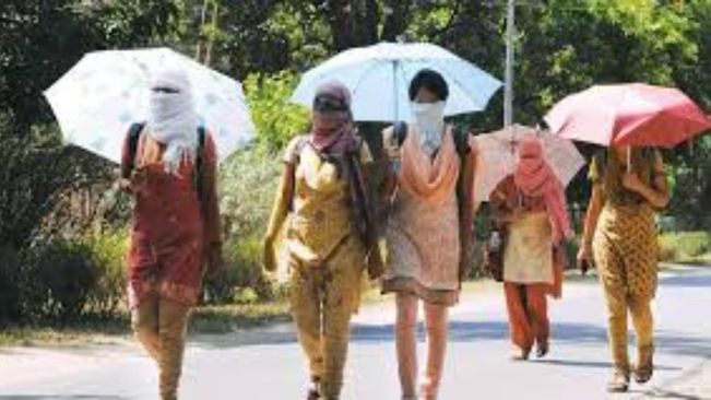 IMD issues severe heat alert for Odisha as Bhubaneswar records season's highest temperature at 43.6&#176;C