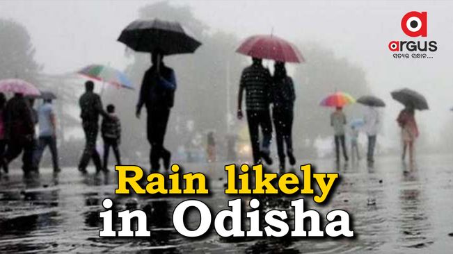 Light to moderate rain likely over many places in Odisha