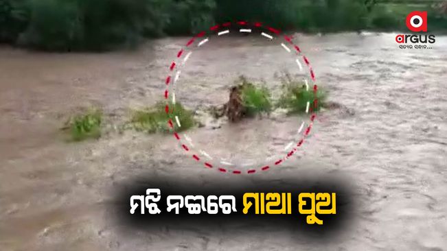 Rayagada: Woman, minor son get stranded in river