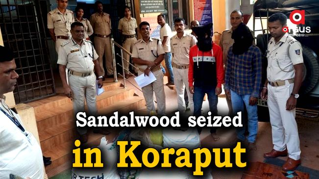 130 kg sandalwood seized in Koraput; two held