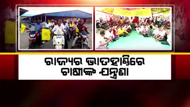 Bargarh Padampur farmers cheated by the government