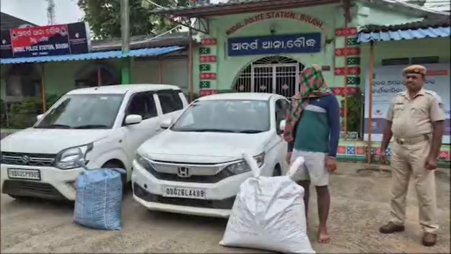 50 Kg Ganja Seized, Peddler Arrested In Boudh