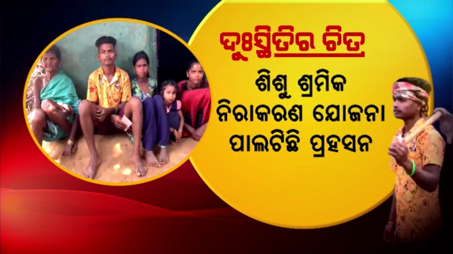 The government's child labour prevention scheme has also failed in the Nabarangpur district.