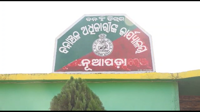 nuapada tiger attack
