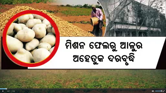 Odisha farmers are turning their backs on potato farming