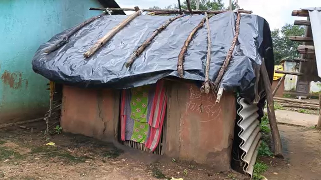 dakrikot under the polythene