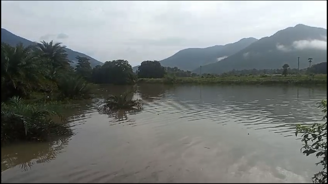 Flood situation, 8 villages under water , Due to the discharge of flood water from the Hirakud river