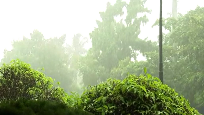 Cyclone forming in North Bay of Bengal may take the form of low pressure today.