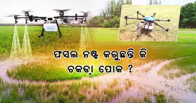Pesticides will be applied through drones for diseases and pests in agriculture lands.