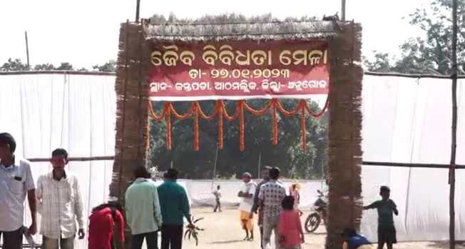 Angul Jaiba Bibidhata Mela Update