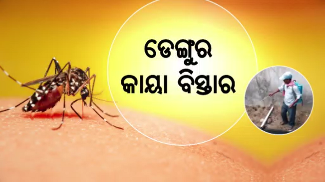 Odisha dengue cases