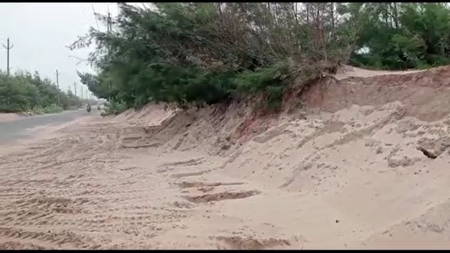 thousands of trip sands have been raised just 10 yards from Konark.