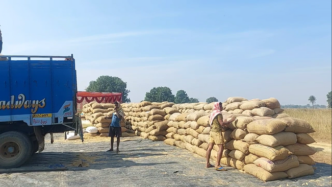Millers are asking for grain in 8 kg cutting after guarding the miller king for 8 days