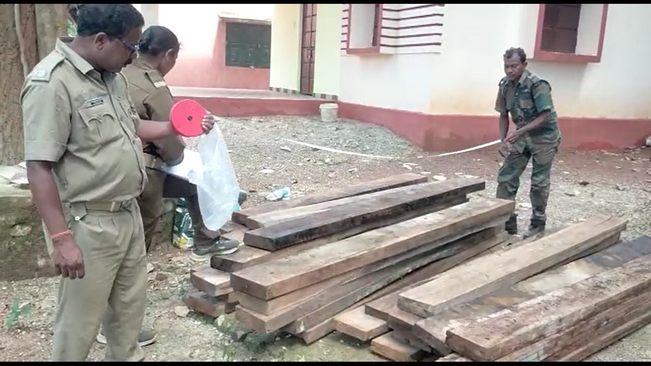 The forest department seized 116 pieces of planks in Keonjhar