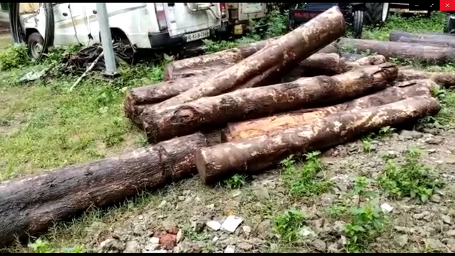 Seizure of large quantities of Sagwan wood in Gajapati
