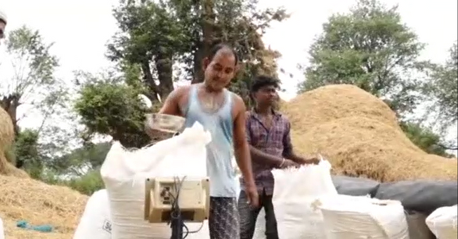 Big step of BJP government to buy paddy with Rs 800 bonus