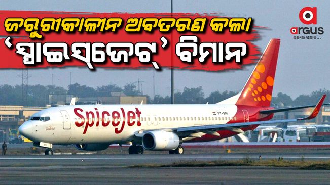 SpiceJet flight to Jabalpur returns to Delhi after crew notices smoke in cabin