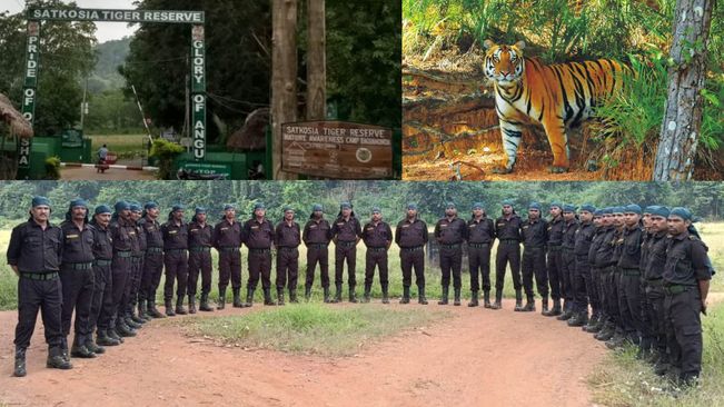 Special Tiger Protection Force Deployed To Safeguard Tigers In Satkosia