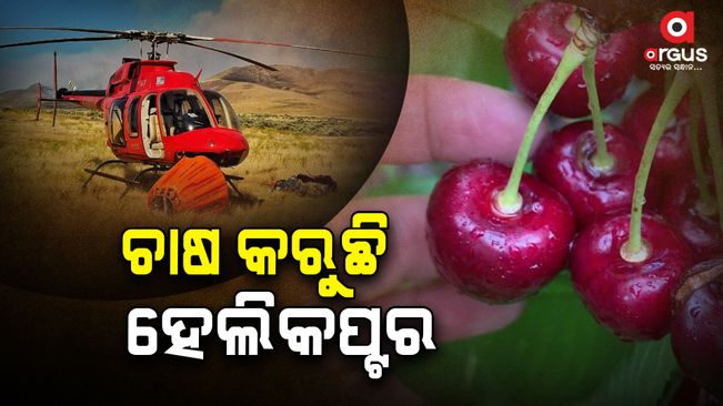 Helicopter is being used in farming