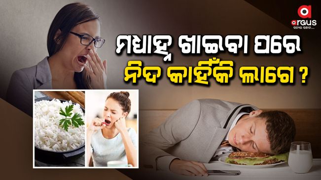 Large meals and meals rich in protein and carbohydrates are most likely to make people feel sleepy.