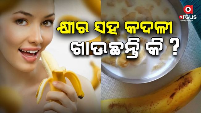 is-eating-banana-mixed-with-milk-beneficial-for-health-or-harmful-know-what-the-experts-say