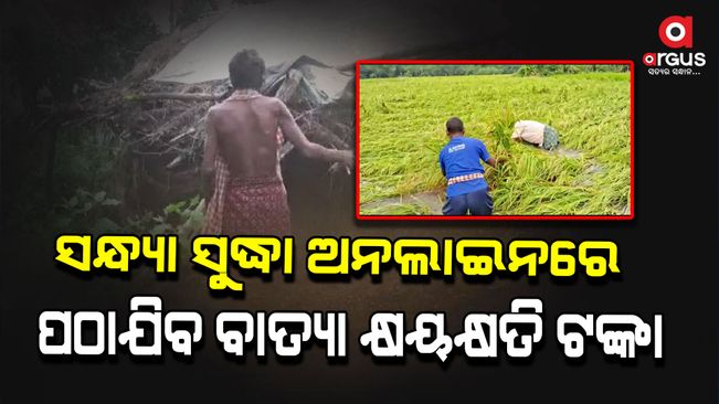 Storm damage money, within 7 days the District Collector will distribute the damage money to the farmers