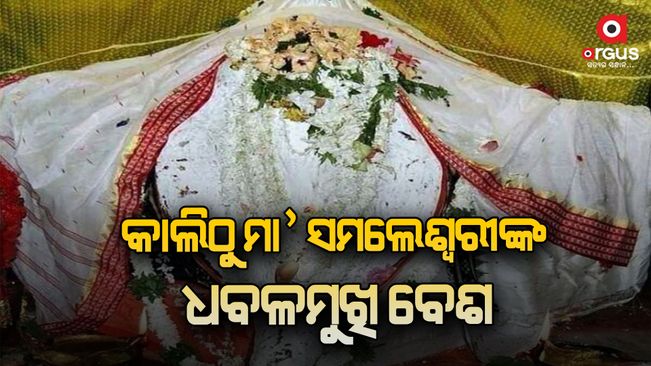 Tomorrow maa samaleswari's dhabalamukhi besha