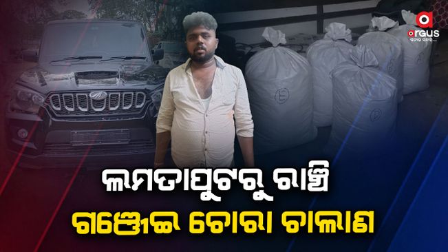 ganja-seized-in-koraput-lamtaput