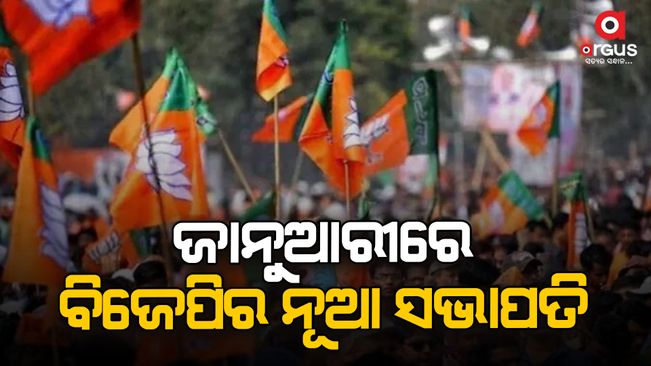 State BJP to get new president in January