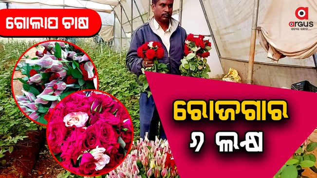 farmer-incomes-5-to-6-lakh-on-rose-farming