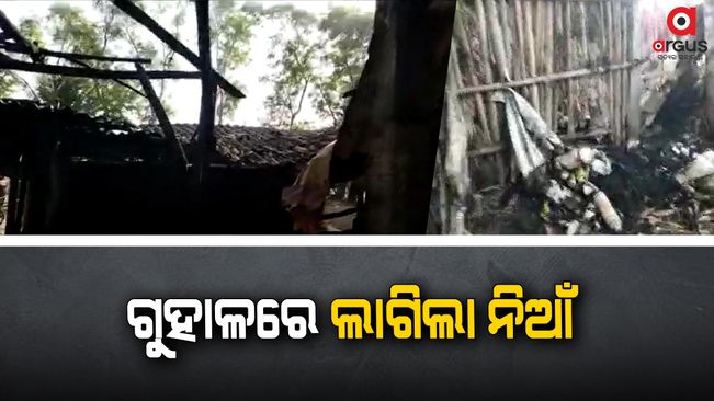 More than 25 goats and two cows were burnt alive in Balasore