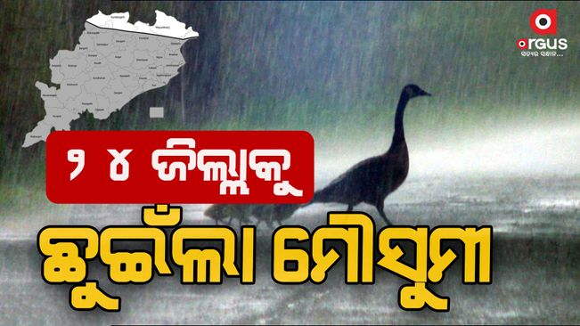 Monsoon touches 24 districts-of-odisha