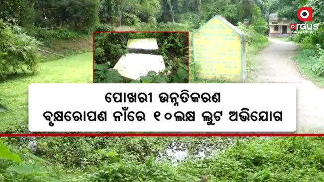 Alleged loot of 10 lakhs in the name of pond improvement, plantation in jajpur