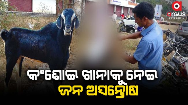 Report to Cuttack DCP for immediate transfer of Meat parlour Padmapur Cuttack