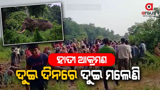 Two people were killed in an elephant attack in the Hindol range of the Dhenkanal district.