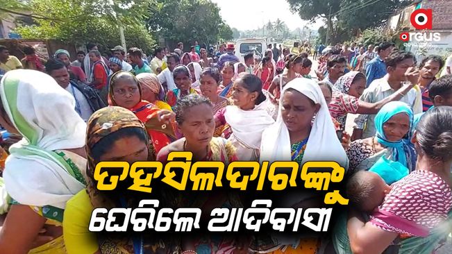 The tribals strike infront of tehsildar office in Sambalpur